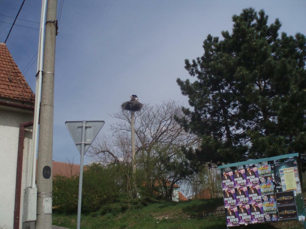 U Čápa Krásný apartmán v Sedleci Sedlec (Breclav) Exterior foto